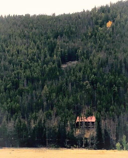 The mountainside log home with a spot of gold above
